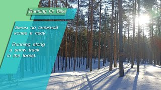 Бегом по снежной  колее в лесу.  Running along a snowtrack in the forest.