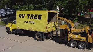 RVTREE Commercial 2021