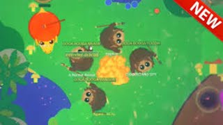 MOPE.IO LIVE- let's get kd