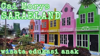 Caimorys Saraeland Kuningan