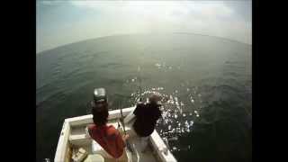 Striped Bass Fishing - Western Long Island Sound (2013)