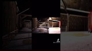 Fs19 cow shed