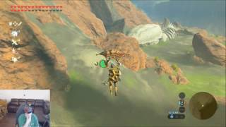 Breath of the Wild Dragon Farming 101