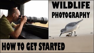 WILDLIFE PHOTOGRAPHY-HOW TO GET STARTED