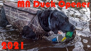 MN DUCK OPENER 2021(flooded timber pond)