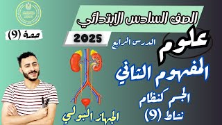 ‪الدرس الرابع علوم الصف السادس الابتدائي الترم الاول 2025 مفهوم الجسم كنظام  نشاط 8 الجهاز الاخراجي