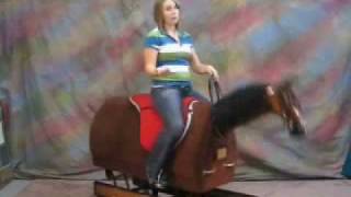 Kate's Equestrian Exercises (Part 1) at the Walk with the Equicizer