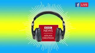 ODUU BBC Afaan Oromo Galgala Kibxata 25 2022