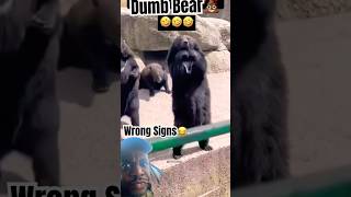 Throw It Up! Wrong Gang!  #animals #funny  #reels  #family  #shorts