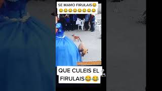 el firulais 🐕