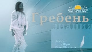 Шри Шри Рави Шанкар – Гребень знания. Лекция / Sri Sri Ravi Shankar – Comb knowledge. Lecture