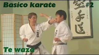 2 - Basic karate Tsuki  - Te waza