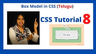 What is Box Models in CSS & How to Use it - Section 8