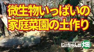 家庭菜園の土づくり。微生物がいっぱいいて水はけと肥料もちのいい土をつくるには。11/09