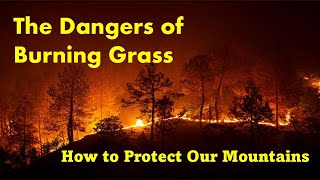 🌍 How to Protect Our Mountains: The Dangers of Burning Grass 🏔️