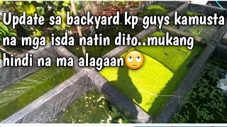 Update sa backyard natin guys..parang napabayaan na🤔