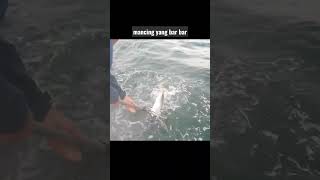 Mancing di laut sungguh barbar