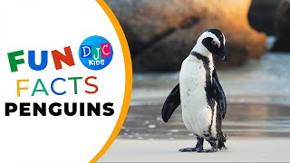 🐧 Amazing Penguin Fun Facts for Kids: Waddle into the World of Penguins!