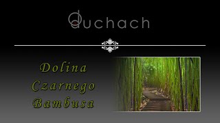 DOLINA CZARNEGO BAMBUSA | O duchach