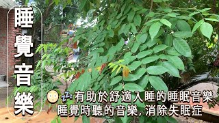 😳💤有助於舒適入睡的睡眠音樂，睡覺時聽的音樂，消除失眠症