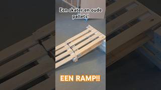 SKATER RAMP van #pallets in de TECHNIEKLES! #1k #shorts