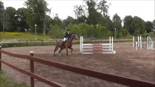 Martina&Zeolita- Aneby 1.05cm- nolla och 5 plats!