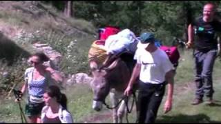 Valsesia trekking con gli asini