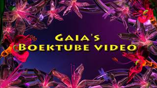 Gaia's boektube video - Back pack van Maren Stoffels