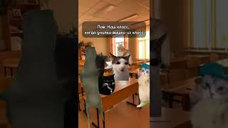 Не пов, а рил 🤣🤣🤣 #youtube #polly_k #подписки #рекомендации