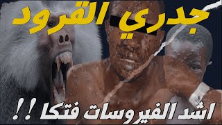 monkeypoxجدري القرود – ما هو هذا المرض ، وكيف تفشى في العالم؟