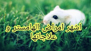 اشهر  امراض الهامستر و  علاجها و سبل الوقاية منها