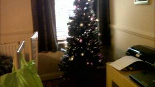 CHRISTMAS TREE 2011