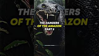 😱 The DANGERS Of The Amazon! (Part 5) #joerogan #storytime #amazon #danger