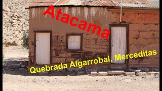 Excursión a Quebrada Algarrobal - el desierto de Atacama, Chile