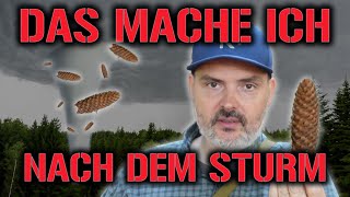 Sturm = Nahrung aus dem Wald?