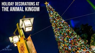 Disney's Animal Kingdom Holiday Decorations 2023 Day and Night | No Talking