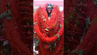 ma Kali #kali #kalimaa #kalipuja