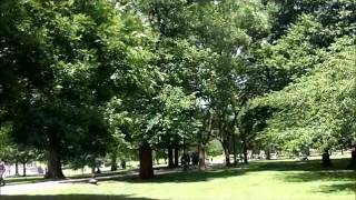 Boston City 2 by Peter Wong.wmv