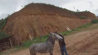 Haras Siman Pt 4