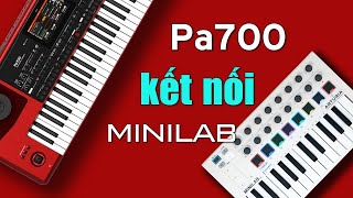 KORG PA700 kết nối Arturia MiniLab.