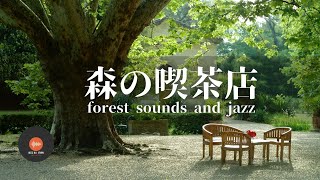 Ambient sounds + JAZZ Gentle forest coffee shop Relaxing work/study CAFE MUSIC - BGM for work