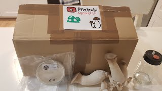 Was ist drinne im Päckchen von @Pilzleubi? | Unboxing 📦🍄 (Speisepilzzucht)