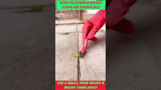 #shorts. How to remove weeds without using chemicals