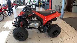 2021 CAN-AM DS 250 - New ATV For Sale - Lodi, Ohio