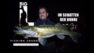 IM SCHATTEN DER BUHNE / Zanderangeln mit Big L / Zander Barsch Monkey Lures Tipps Tricks