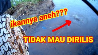 02#Mancing di muara - kenyataan tak seindah harapan.