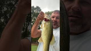 Lake Oconee Bass