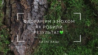 Флораріум з мохом | робимо шафу з мохом на кухні) результат за 4 місяці