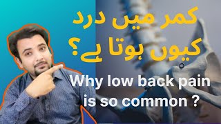 Low back pain | why low back pain is so common? | ریڑ کی ہڈی میں درد |