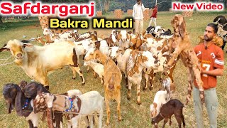 मात्र 2000 में खरीदे बरबरी बच्चे |Safdarganj Bakra mandi Latest video |Safdarganj Bakra mandi 2024